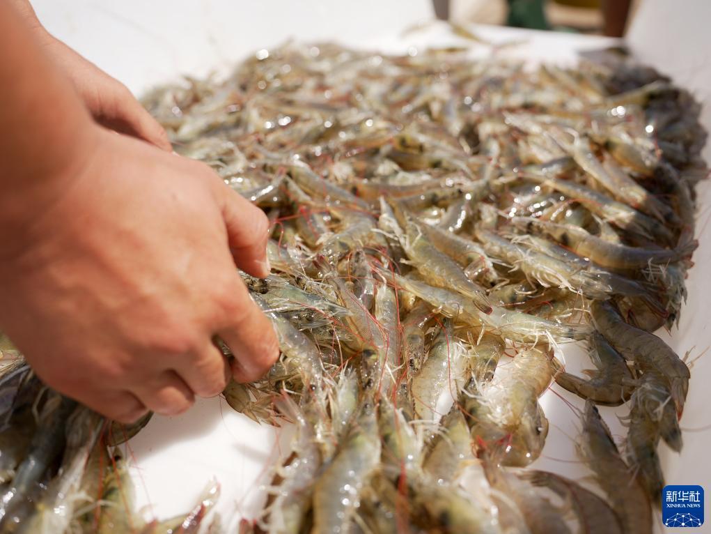 巴黎人赌博评测